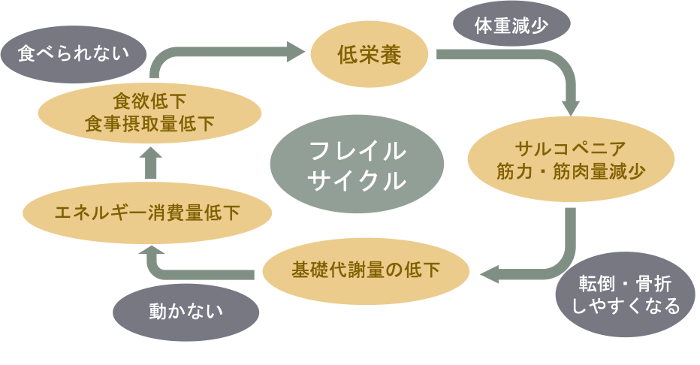 医療法人わかば会-俵町浜野病院-長崎県佐世保市-フレイルサイクル