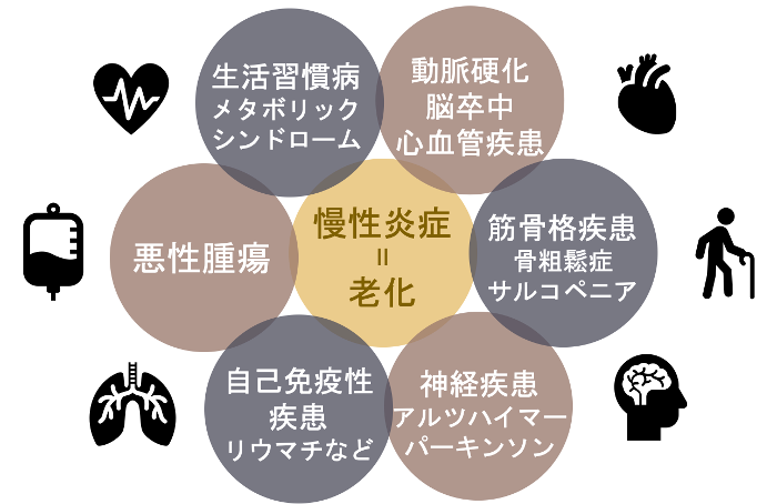 医療法人わかば会-俵町浜野病院-長崎県佐世保市-トータルケアフローチャート